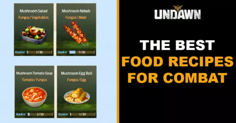 Best Food Recipes For Combat in Undawn